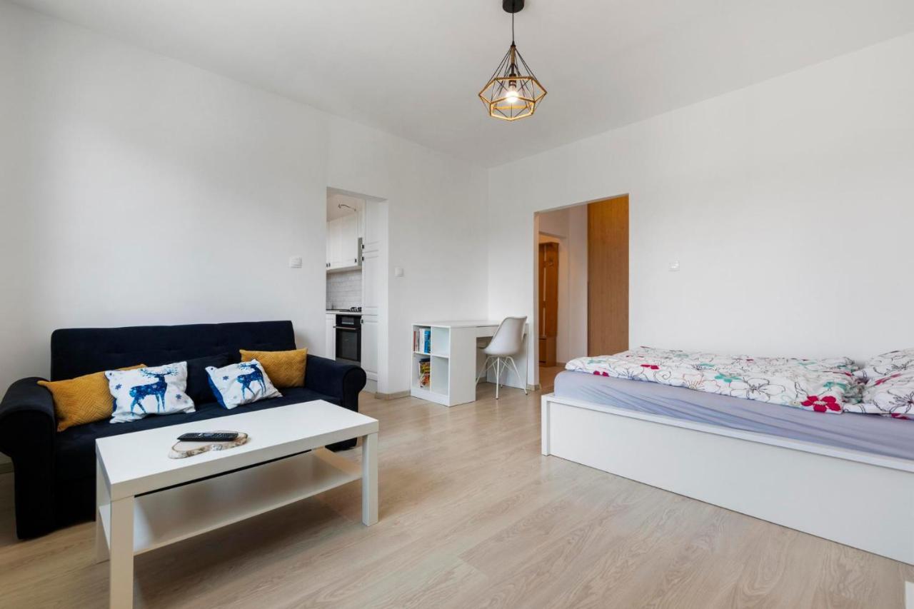 Apartment 20 Minutes From City Center W Netflix, Coffee Or Tea & Parking Братислава Экстерьер фото